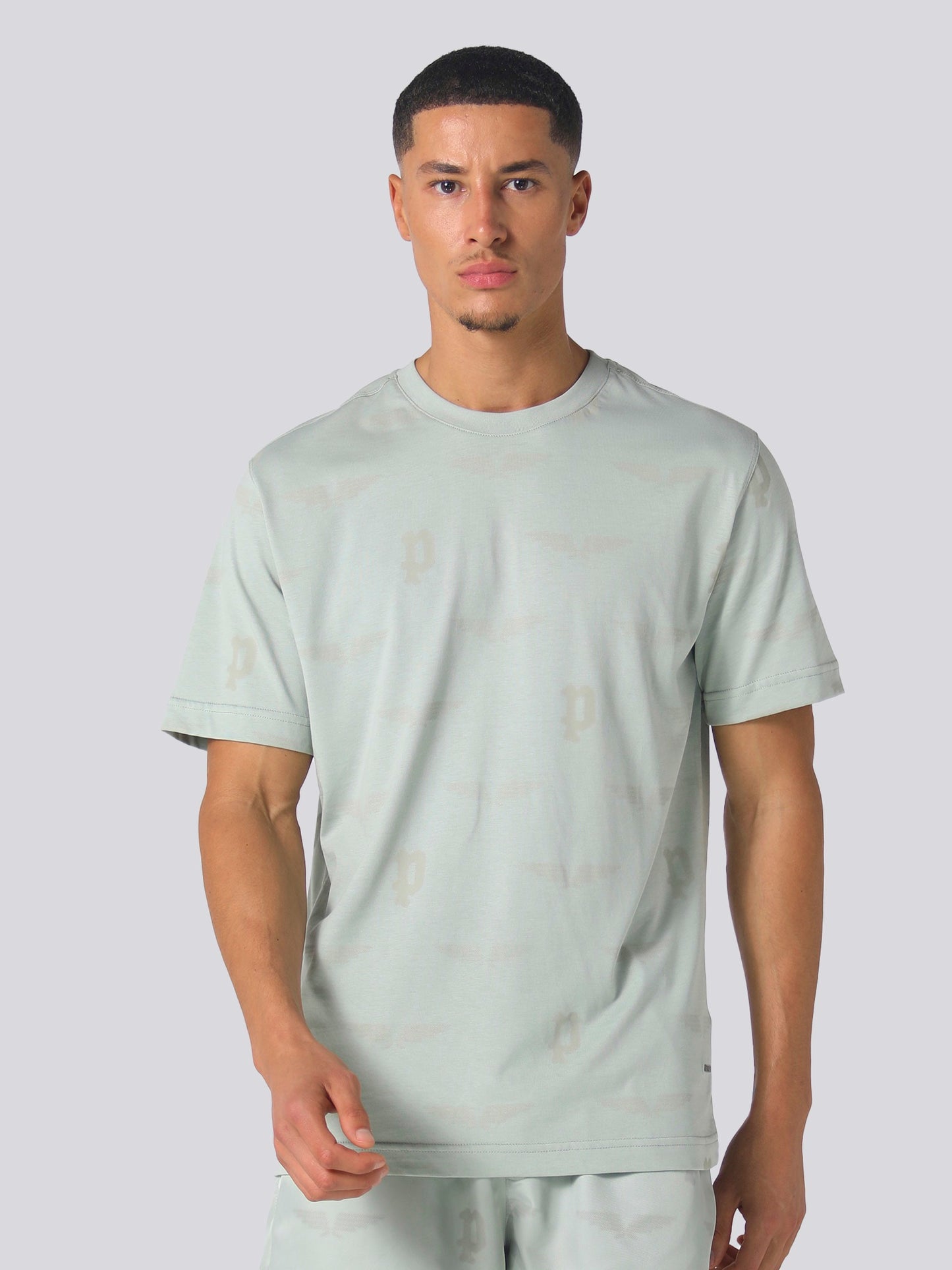 Alldritt Sage Green T-Shirt
